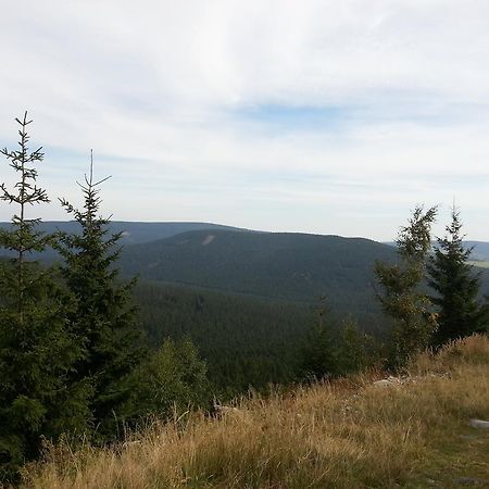 Penzion U Mlyna Рейвиз Экстерьер фото