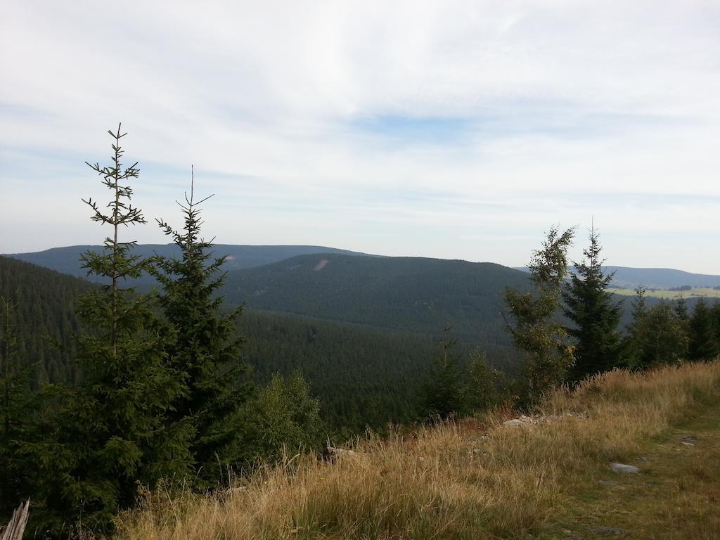 Penzion U Mlyna Рейвиз Экстерьер фото